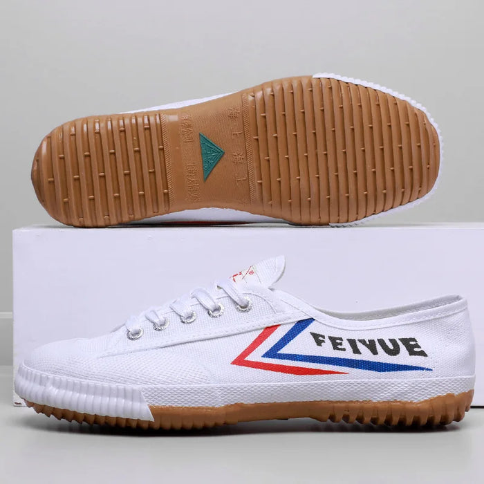 Martial Arts Tai Chi Kung Fu Shoes Taekwondo Wushu Karate Footwear Sports Training Sneaker Chinese Traditional Canvas Shoes