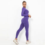 2 Piece Seamless Gym Sets Yoga Outfits Athletic Legging Women's Yoga Set Custom Women Workout Clothing Apparel Fitness
