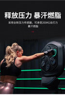 Smart Music Boxing Machine Electronic Boxing Reaction Target Beat Rhythm Wall Target Hanging Smart Training Equipment