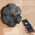 Smart Music Boxing Machine Boxing Target BT Link Music Boxing Training LED Lighted USB Charging Electronic Boxing Wall Target