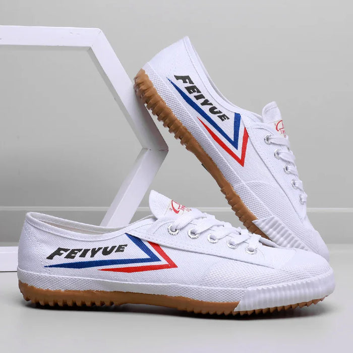 Martial Arts Tai Chi Kung Fu Shoes Taekwondo Wushu Karate Footwear Sports Training Sneaker Chinese Traditional Canvas Shoes